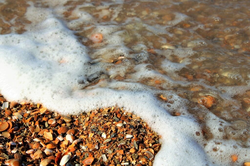 sea, beach, pearl, shells, seashell, north sea, water, panorama of the sea, nature, coast, ocean, sand, foam