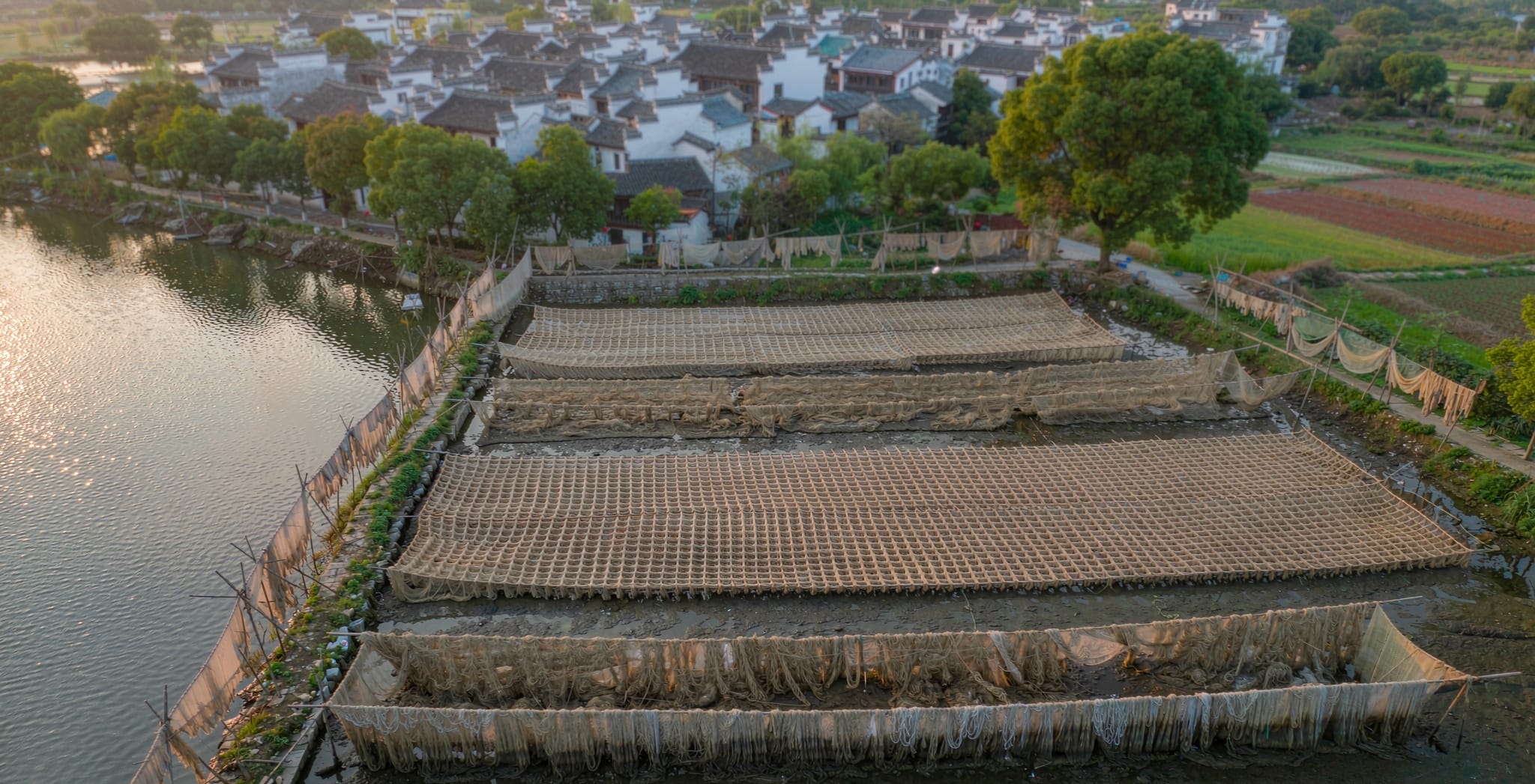 Freshwater pearl farming in Zhuji, China, the world's freshwater pearl hub