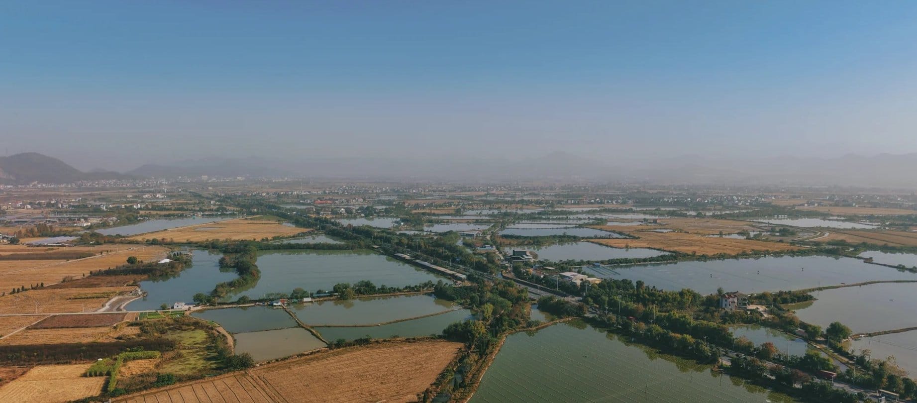 Zhuji pearl market overview