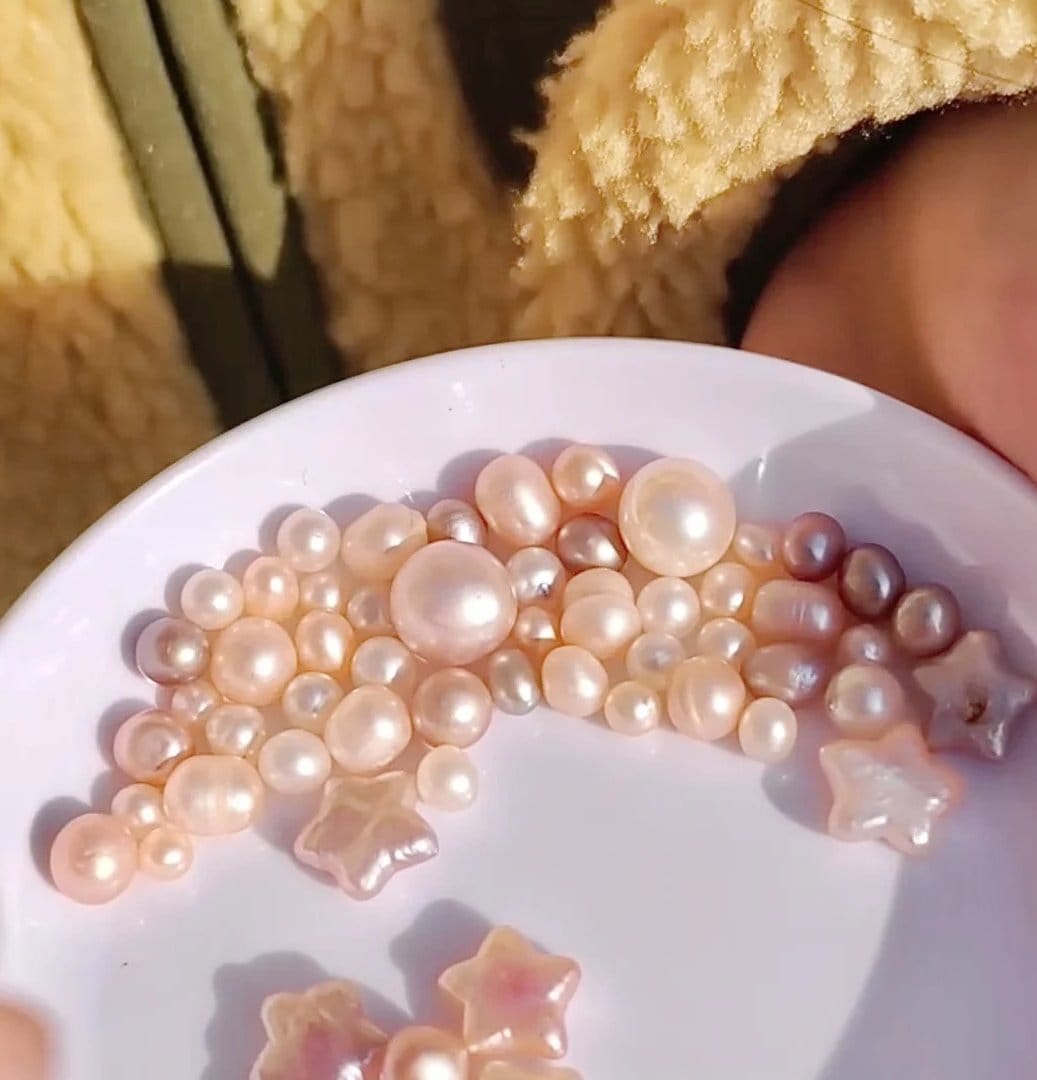 Freshwater pearl farming harvest at Zhuji